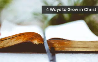 A bible open on a table with a green plant in the background, ready to help a person grow in Christ.