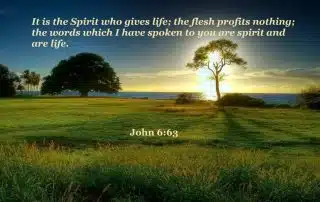 “The words which I have spoken are spirit and they are life.” (John 6:63)